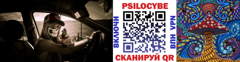 mega Чаплыгин маркетплейс официальный сайт что такое наркотик Галлюциногенные грибы Magic Shrooms